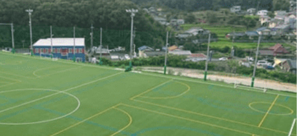 FUTABA field